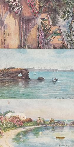 Bermuda Mangrove Bay Par Le Villa Gardens 3x Old Oilette Painting Postcard s