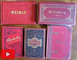 Germany 1880s Tourist photo books lot x 5 Wiesbaden Weimar Heidelberg 52 views