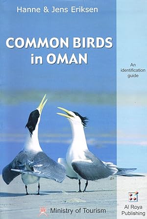 Common Birds In Oman :