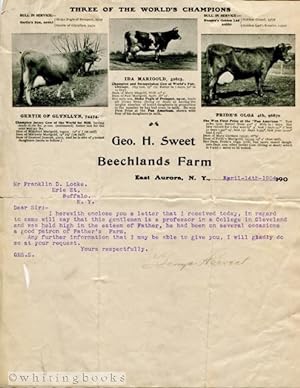 1904 Letter on Geo H Sweet Beechlands Farm Letterhead, Aurora, New York, Featuring Champion Jerse...