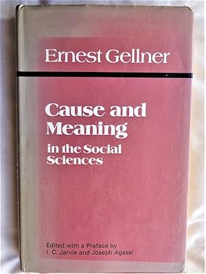 CAUSE AND MEANING IN THE SOCIAL SCIENCES