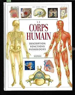 Le corps humain, description, fonctions, pathologies