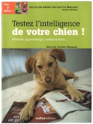 Testez l'intelligence de votre chien : Mémoire apprentissage communication