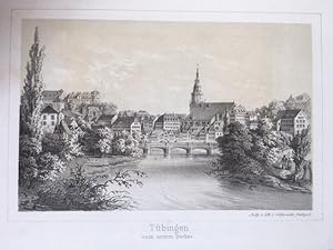 Tübingen vom untern Neckar. Aufg. u. lith.(ographiert) von A. Gatternicht.