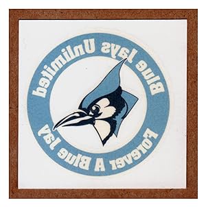 Johns Hopkins Temporary Tattoos - "Blue Jays Unlimited / Forever A Blue Jay". Pack of 2