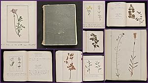 Herbarium Journal with Watercolors