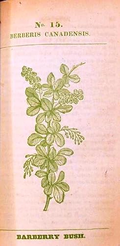 MEDICAL FLORA; OR, MANUAL OF THE MEDICAL BOTANY OF THE UNITED STATES OF NORTH AMERICA. Containing...