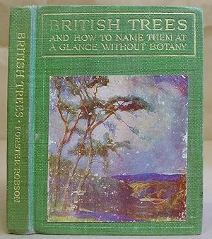 British Trees, And How To Name Them At A Glance, Without Botany