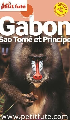 GUIDE PETIT FUTE ; COUNTRY GUIDE ; Gabon, Sao Tomé et Principe