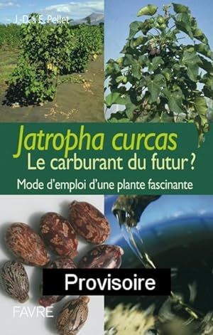 Jatropha curcas, le meilleur des biocarburants