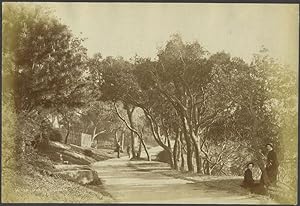 Walk, Outer Domain. Sydney. Albumen Photograph
