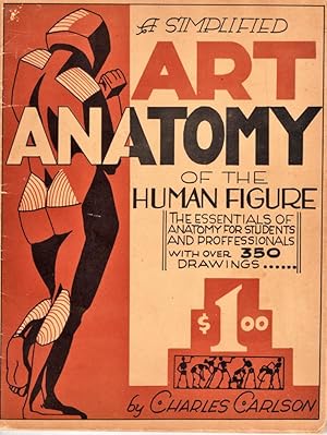 A Simplified Art Anatomy of the Human Figure
