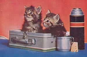 Kittens In Picnic Box By Coffee Flask Vintage Cat Old Postcard