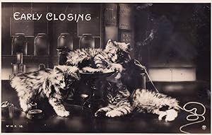 Early Closing Kittens In Pub On Beer Pumps Vintage Cats Comic Real Photo Postcard