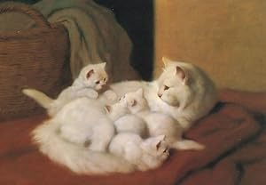 The New Litter Arthur Heyer Cat Kitten Medici Postcard