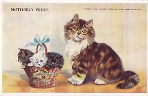 Tabby & White Persian Kitten Cat Motherly Pride Old Cats Postcard