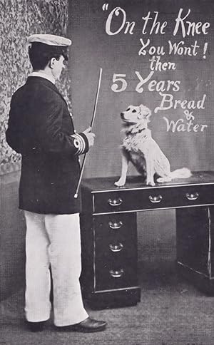 Sailor & Dog Military Training Bread & Water Rations Stick Antique Dogs Postcard