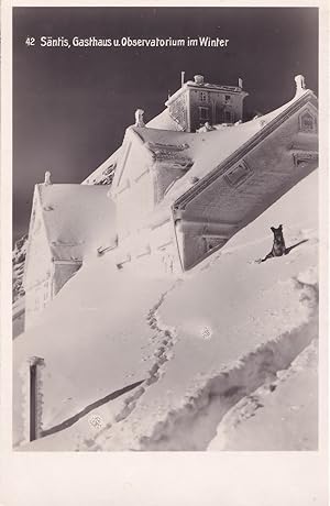 Santis Sasthaus Observatorium Im Winter Dog Switzerland Photo Postcard