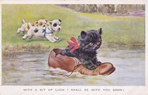 Kitten Floating On Giant Shoe Swimming Dogs Chasing Antique Cat Postcard