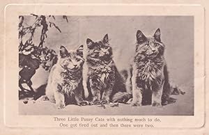 Three Little Pussy Cats Kittens Ten Green Bottles Song Antique Postcard