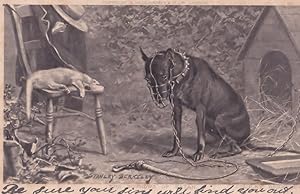 The Sorrows of Satan Stanley Berkeley Antique Muzzled Dog Dogs Postcard