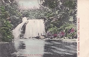 Aniwaniwa Falls New Zealand Tourist Dept Old Postcard