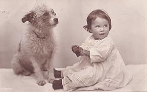 Baby Child & Scotch Cairn Terrier Playing Old Photo Dog Antique Postcard