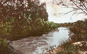 Vaal River Parys New Plymouth Zealand Antique 3x Postcard
