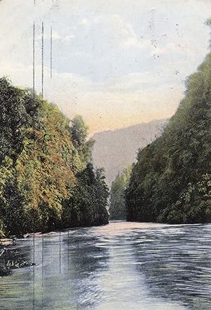 Wanganui River Drop Scene New Zealand 1908 Postcard