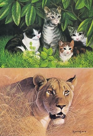 The Four Sisters Tiger Head Of A Lion Lioness 2x Medici Cat Postcard s