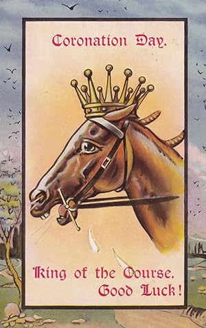 Coronation Day Horse Crown Racing Race King Of The Vintage Postcard