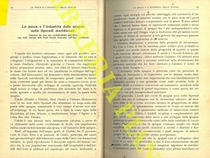 La pesca e l'industria delle spugne nelle Sporadi meridionali.