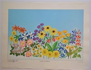 A GARDEN OF WILDFLOWERS: Promotional Poster