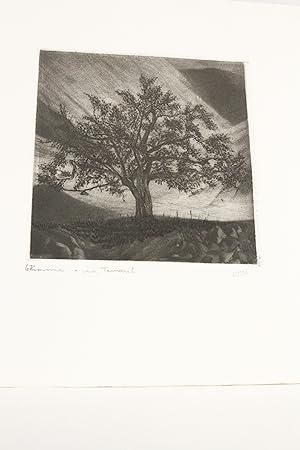 Divan du Tamarit