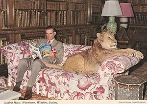 Longleat House Warminster Lion On Sofa Giant Cat Wiltshire Postcard