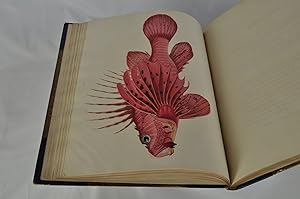 A SELECTION OF RARE AND CURIOUS FISHES FOUND UPON THE COAST OF CEYLON
