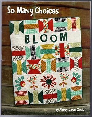 So Many Choices: 5 Blocks, 5 Appliques, 5 Sayings, Endless Quilts by Janice Liljenquist (2013-05-03)