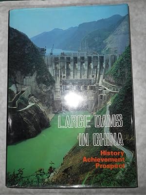 Large Dams in China: History, Achievement, Prospect (English Edition)