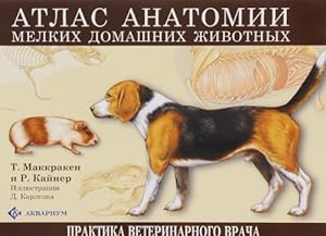 Atlas anatomii melkikh domashnikh zhivotnykh