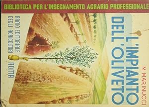 L'impianto dell'oliveto