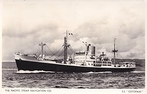 SS Cotopaxi Pacific Steam Navigation Company Ship Old RPC Postcard