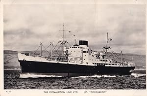 MS Corinaldo Donaldson Line Ship Real Photo Postcard