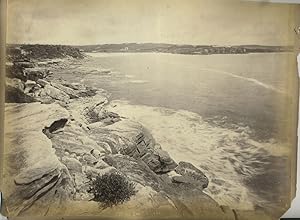 "Coogee Bay' and "Palms Botanic Garden" verso with "Philae Island, Egypt". Albumen photographs