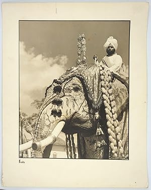 Maharaja Elephants in Ceremonial Dress. 3 Silver gelatin photographs