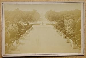 Cabinet Photograph: Jardin des Tuileries.