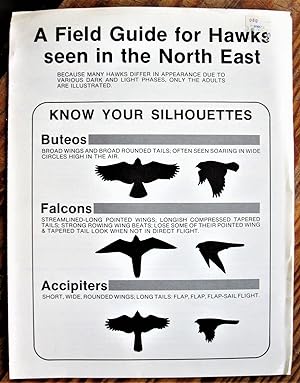 A Field Guide for Hawks Seen in the North East