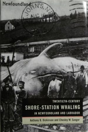 Twentieth-century shore-station whaling in Newfoundland and Labrador.