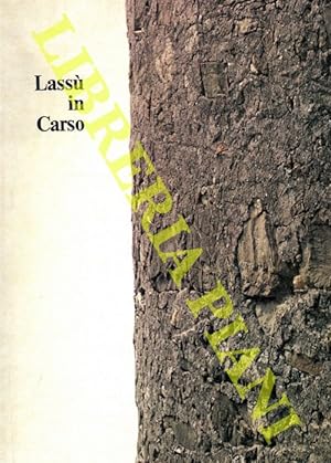 Lassù in Carso.