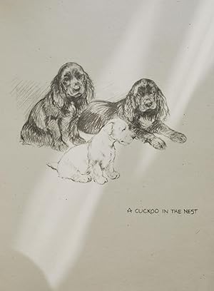 Just dogs. Sketches in pen & pencil.