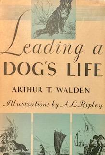 Leading A Dog's Life